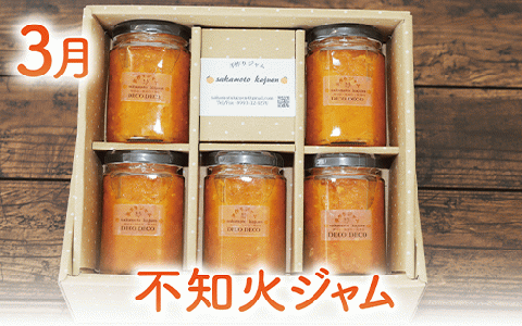 【全４回定期便】みかん農家坂元さんちの手作りジャム定期便(坂元果樹園/Z040-491) ジャム 農家 手づくり マーマレード ママレード スモモ 柑橘 いぶすき