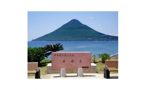 小型タクシーで巡る 指宿3時間観光コース(鹿児島第一交通/066-1317)