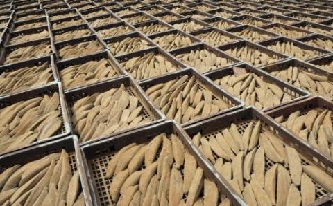 【全６回定期便】食べる最高級品 鰹本枯れ節定期便(活お海道/Z-016)