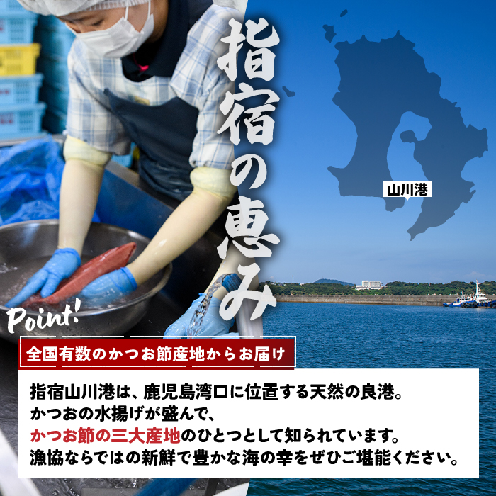6種のすり身 300g×各1本(計1.8kg)セット(山川町漁協/IB039-006) すりみ スリミ 魚 魚惣菜 さかな 魚介 海鮮 さつまあげ さつま揚げ そうざい 冷凍 味付き しいら シイラ 甘口 甘さ控えめ 薄味 うすあじ うす味 アジ あじ いわし イワシ ブリ ぶり 指宿 いぶすき 鹿児島