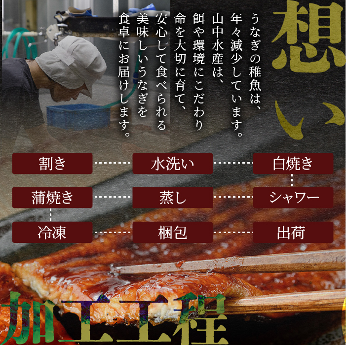 【2025年12月21日までのご入金で年内発送】鹿児島県産 鰻の蒲焼(無頭背開き)約165g×2尾(山中水産/016-1065) うなぎ 国産 鹿児島 蒲焼 丑の日 丑 土用丑の日