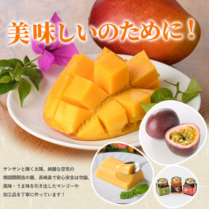 【2026年 発送】【訳あり】しあわせ完熟マンゴー 約800g(マンゴーの森/016-2055) 2玉 ～ 3玉 国産 南国 指宿産 鹿児島 アップルマンゴー マンゴー 果物 くだもの フルーツ 完熟 産地直送 お取り寄せ