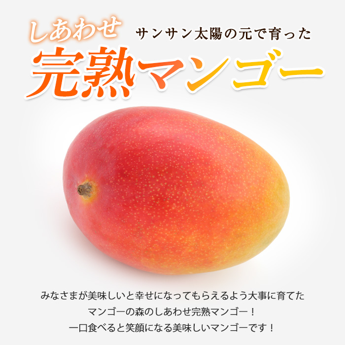 【2026年 発送】しあわせ完熟マンゴー3～6玉入り(マンゴーの森/044-1768) マンゴー フルーツ 果物 旬 夏 指宿 いぶすき 鹿児島  完熟  お供え 御供 ギフト 贈り物 プレゼント グルメ 予約 先行予約 南国 南国フルーツ 果実 マンゴー グランプリ マイスター 太陽 国産 鹿児島県産 果汁