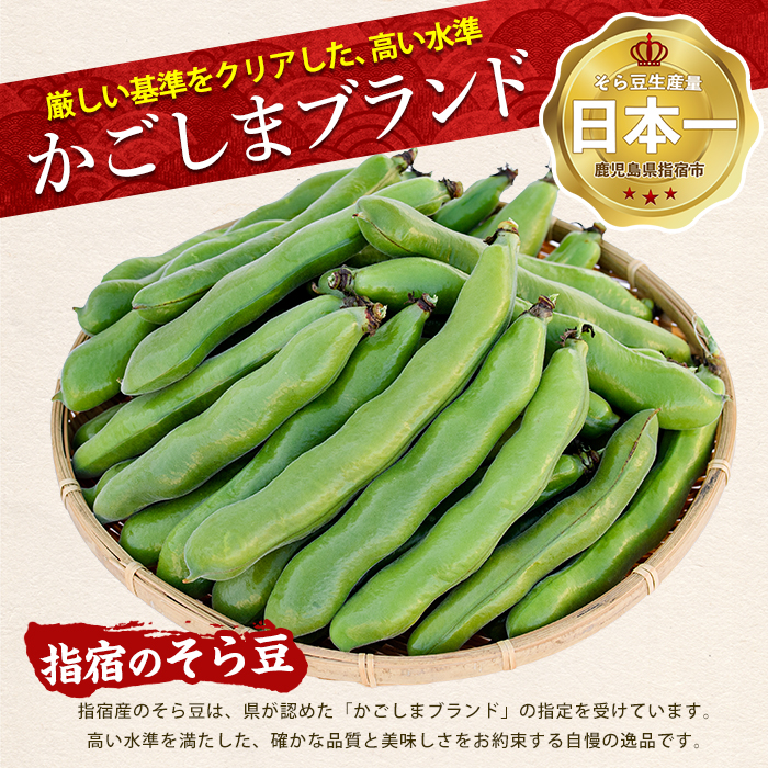 【2026年 発送】指宿産サヤ付そらまめLサイズ約2kg(岡村商店/IB024-017) 鹿児島県 そらまめ ソラマメ そら豆 豆 旬 指宿市 春 野菜 サラダ おつまみ
