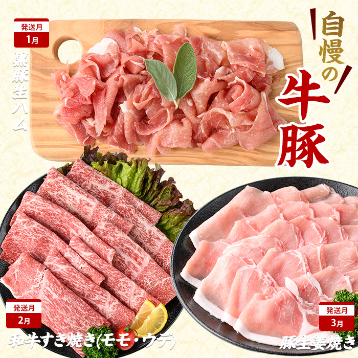 【2026年発送 先行予約】【全１２回定期便】鹿児島自慢の 豚 ・ 牛 ・ うなぎ まんぷく 定期便 (水迫畜産/Z100-1773)