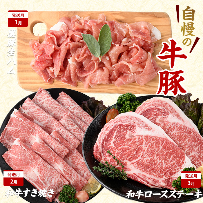 【2026年発送 先行予約】【全１０回定期便】鹿児島自慢の豚・牛・うなぎ 満足定期便(水迫畜産/Z100-528)