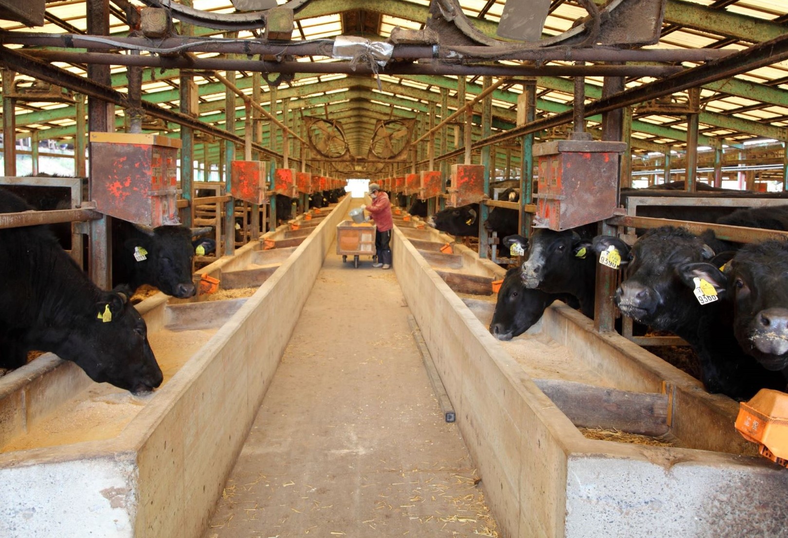 【A4ランク未経産牛】黒毛和牛赤身がｼﾞｭｰｼｰ♪モモステーキセット(Meat you/022-1015)