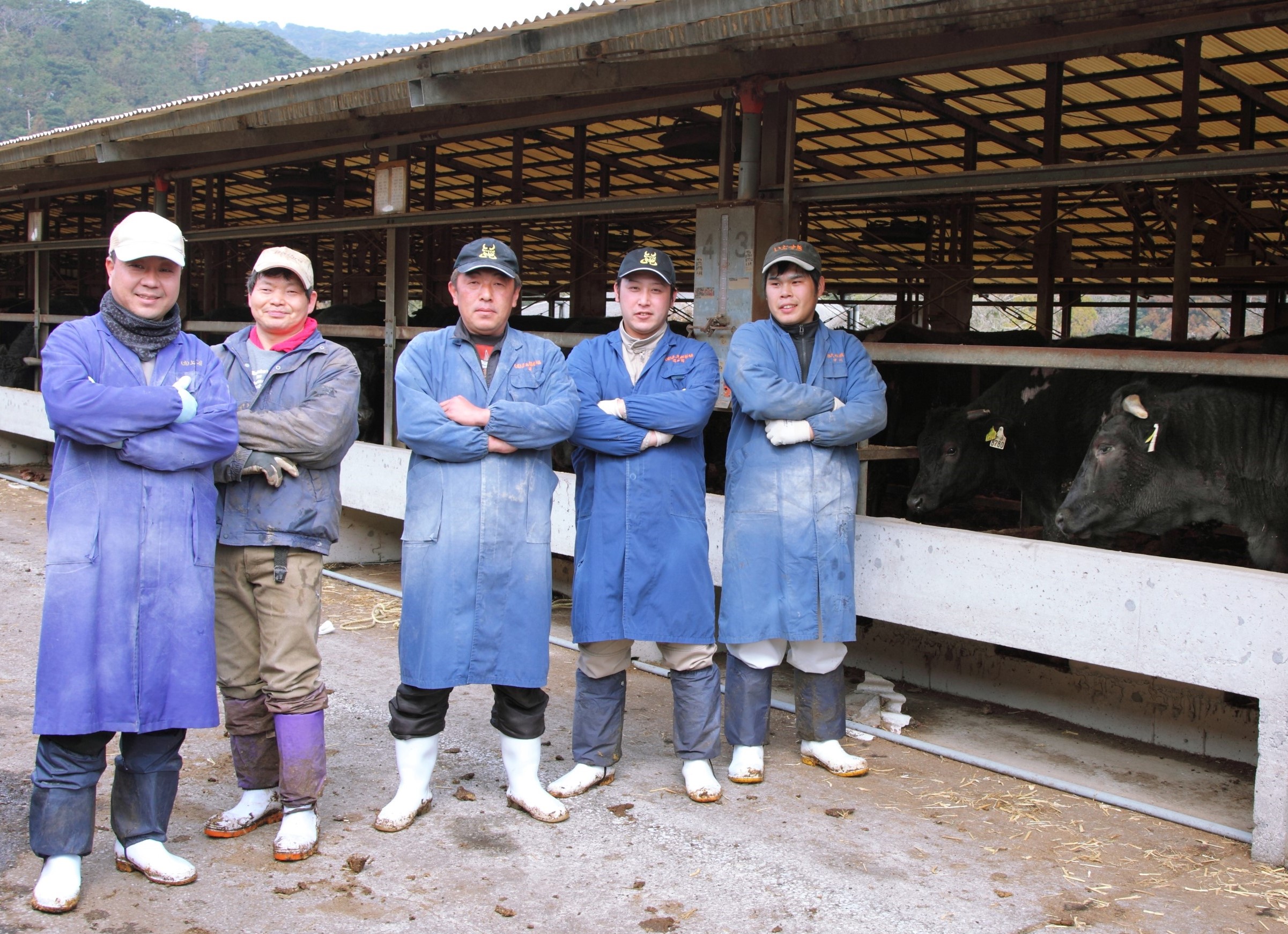 【指宿育ち】黒毛和牛 サーロインステーキ230g×2枚(Meat you/037-1183)