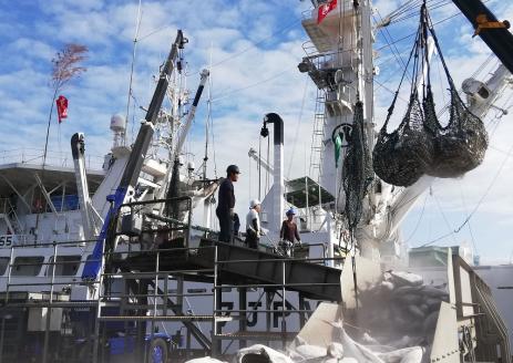 かつおのトロ「鰹腹皮燻製」5本入り4袋セット(やまと屋/A-411)