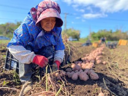 しっとり安納芋の焼き芋250g×6個(中園久太郎商店/A-313) 鹿児島 指宿市 さつまいも さつま芋 サツマイモ 焼芋 やきいも 焼いも 冷やし焼き芋 紅はるか シルクスイート 安納芋 スイーツ おやつ デザート 冷凍