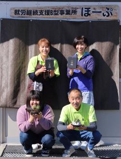 ミニ観賞用植物 いぶすき松びっくり2個(ほーぷ/A-304)