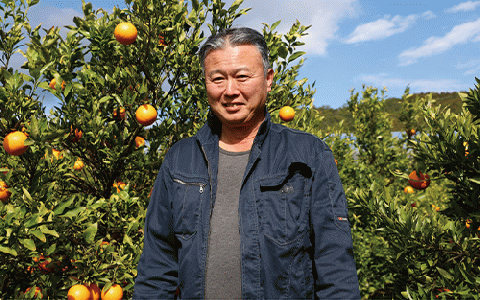 【2026年2月上旬～発送】たんかん約5kg(迫田果樹園/A-164) 鹿児島 開聞 たんかん みかん タンカン ミカン 指宿 フルーツ 果物 冬 旬 ご家庭用