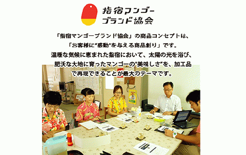 ＜高島屋選定品＞指宿マンゴージェラート9個セット(TK017-1835/59D1953)