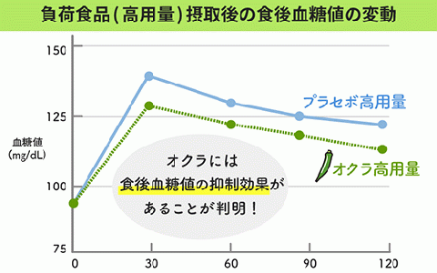【機能性表示食品】オクラパウダー120g　食後の血糖値上昇を抑える！オクラ由来水溶性食物繊維のちから(エール/014-1079)