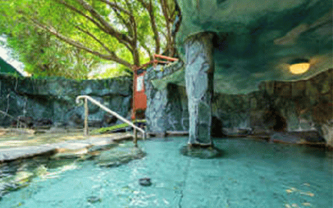 【鹿児島ひとり旅】1泊朝食付宿泊券(指宿フェニックスホテル/037-1103)