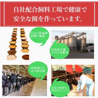 鹿児島県産5等級黒毛和牛薄切りしゃぶ焼500g(水迫畜産/010-543)23-GP4 国産 肉 牛 和牛 ステーキ しゃぶしゃぶ 鍋 すきやき 霜降り ギフト 贈答用 プレゼント 鹿児島 いぶすき