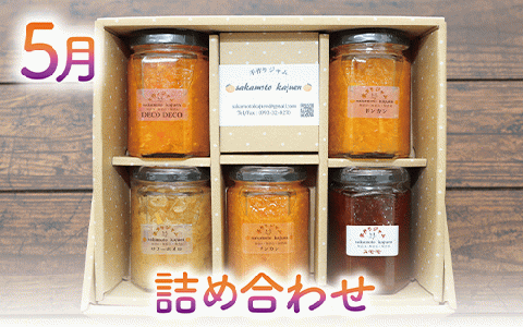 【全４回定期便】みかん農家坂元さんちの手作りジャム定期便(坂元果樹園/Z040-491) ジャム 農家 手づくり マーマレード ママレード スモモ 柑橘 いぶすき