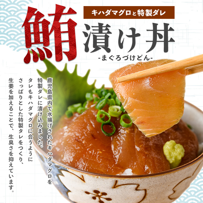 【指宿直送便】マグロ漬け丼の素80g×10パック合計800g(指宿山川水産/010-1598)【 魚介 海鮮 海鮮丼 丼 鮪 まぐろ 魚 魚惣菜 お手軽 簡単 簡単調理 】