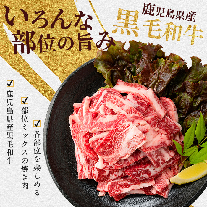 A5等級鹿児島県産黒毛和牛焼肉切り落とし750g(250g×3P)(カミチク/IB112-016) 牛肉 牛 肉 お肉 黒毛和牛 黒毛 国産牛 国産 鹿児島県産 バーベキュー 切落し 和牛 A5 A5ランク ミスジ ウワミスジ インサイド ミックス キャンプ BBQ 野菜炒め 炒め物 家庭用 冷凍 小分け 焼肉用