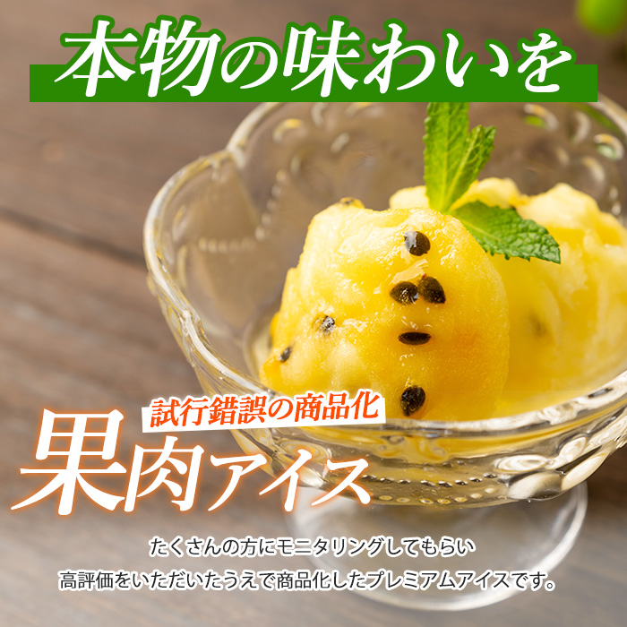 ゴロゴロ果肉入りプレミアムアイス10個セット(マンゴーの森/022-1211)