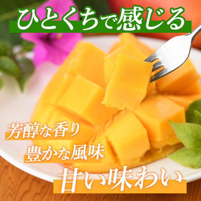 【2026年 発送】しあわせ完熟マンゴー3～6玉入り(マンゴーの森/044-1768) マンゴー フルーツ 果物 旬 夏 指宿 いぶすき 鹿児島  完熟  お供え 御供 ギフト 贈り物 プレゼント グルメ 予約 先行予約 南国 南国フルーツ 果実 マンゴー グランプリ マイスター 太陽 国産 鹿児島県産 果汁