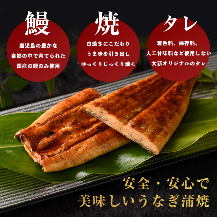 【全３回定期便・奇数月お届け】鹿児島県産うなぎ蒲焼じっくり焼き約165g×5尾(大新/Z100-1697) 鰻 蒲焼 国産 丑の日 うな重 無頭 ギフト ふっくら 小分け レンジ 簡単 頒布会 小分け うな丼 ウナギ 冷凍