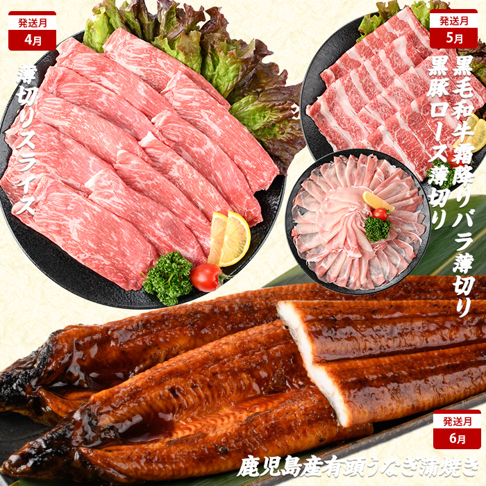 【2026年発送 先行予約】【全１２回定期便】鹿児島自慢の 豚 ・ 牛 ・ うなぎ まんぷく 定期便 (水迫畜産/Z100-1773)