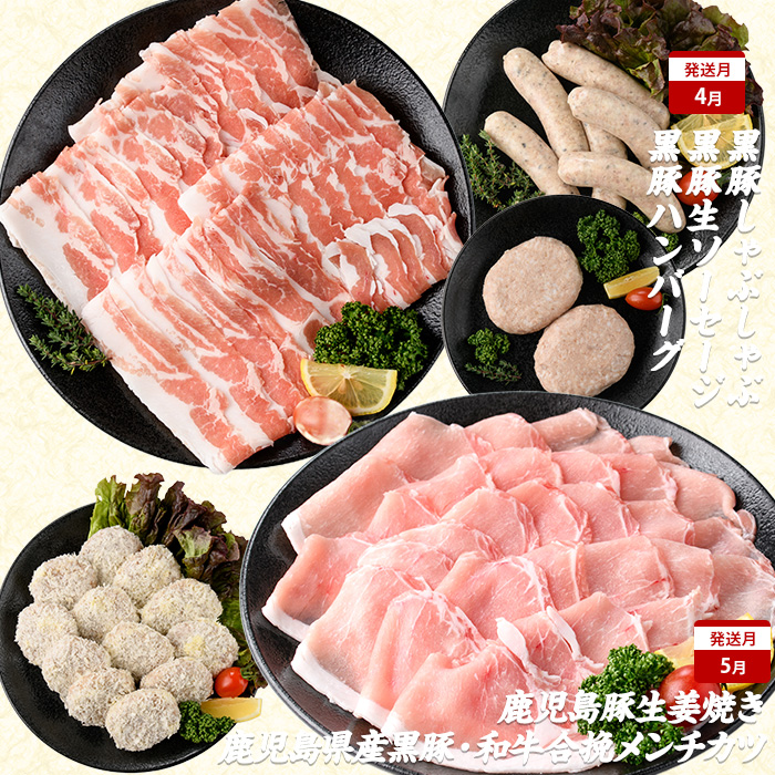 【2026年発送 先行予約】【全１０回定期便】鹿児島自慢の豚・牛・うなぎ 満足定期便(水迫畜産/Z100-528)