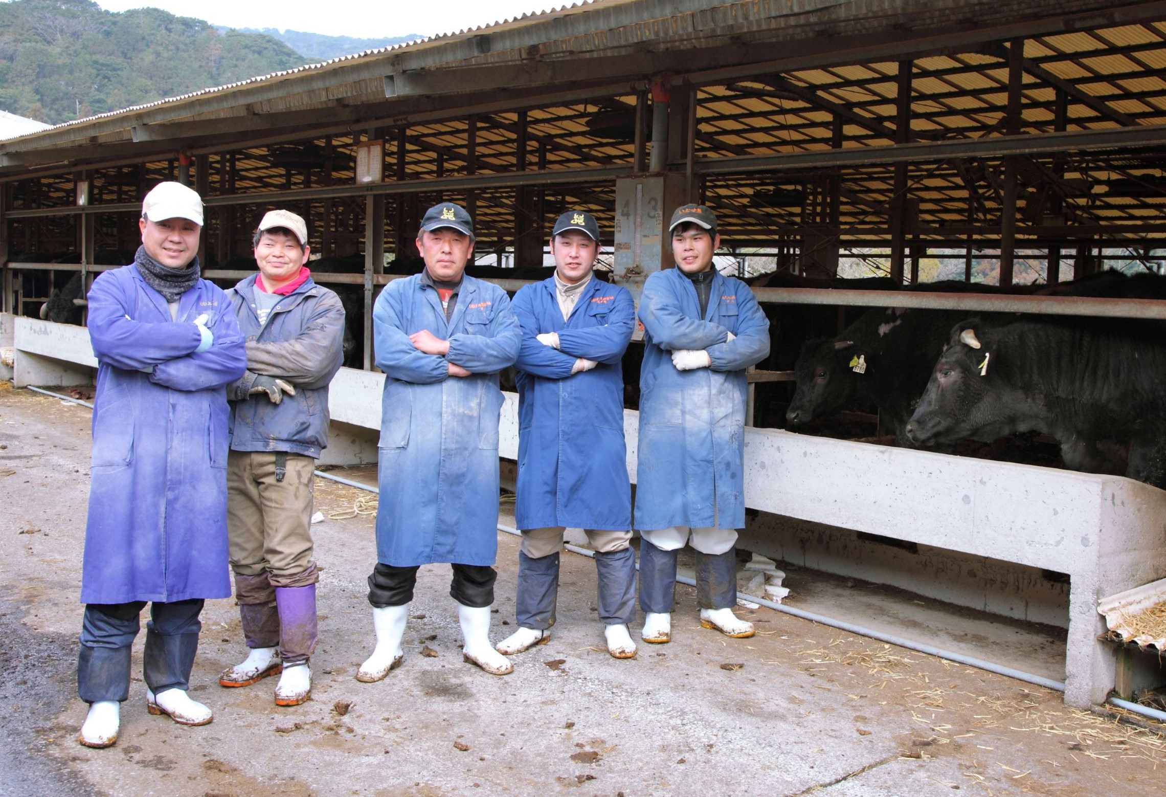 【A4ランク未経産黒毛和牛】黒毛和牛盛り盛り焼き肉♪三角バラ・肩ロースセット(指宿育ち！)(Meat you/077-1017)