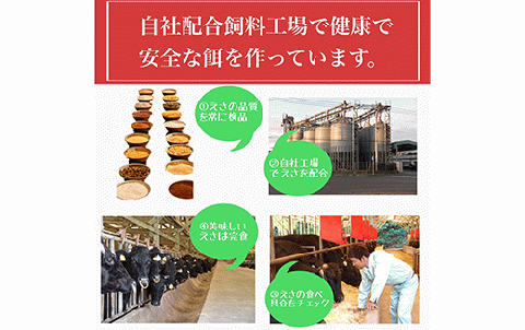 鹿児島県産黒毛和牛5等級肩ロースすき焼き400g(水迫畜産/013-1290)