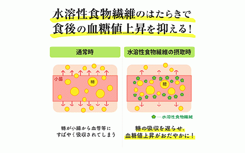 【機能性表示食品】オクラパウダー120g　食後の血糖値上昇を抑える！オクラ由来水溶性食物繊維のちから(エール/014-1079)