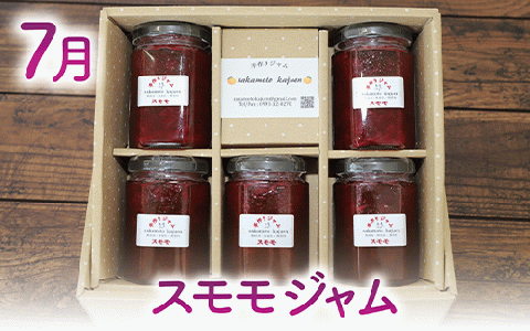 【全４回定期便】みかん農家坂元さんちの手作りジャム定期便(坂元果樹園/Z040-491) ジャム 農家 手づくり マーマレード ママレード スモモ 柑橘 いぶすき
