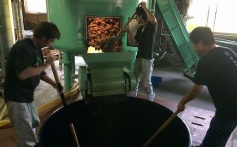 【新酒時期限定】老舗蔵元 吉永酒造の「むろか利八白」ロックグラス付(吉永酒造/015-1127) むろか利八白 吉永酒造 新酒むろか利八白 ロックグラス付き 鹿児島 指宿市 本格焼酎 限定老舗蔵元 むろか 利八 白 冬限定 新酒