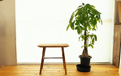 スツールテーブル「Tip stooltable」オーク材(さきやま木工/140-1216)