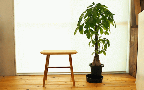 スツールテーブル「Tip stooltable」アッシュ材(さきやま木工/130-1215)