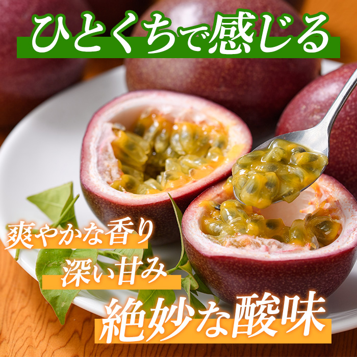 【訳あり】パッションフルーツ 18～20玉(マンゴーの森/010-1665) ワケアリ わけあり 規格外 規格外品 農家直送 産地直送 新鮮 パッション フルーツ 果物 くだもの 南国 夏 旬 トロピカル トロピカルフルーツ 指宿 いぶすき 鹿児島