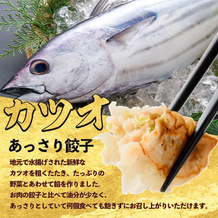 カツオ餃子10パックセット(紅龍/010-391)