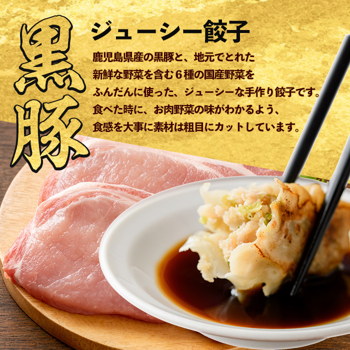 カツオ餃子・黒豚餃子食べ比べセット(紅龍/010-392)