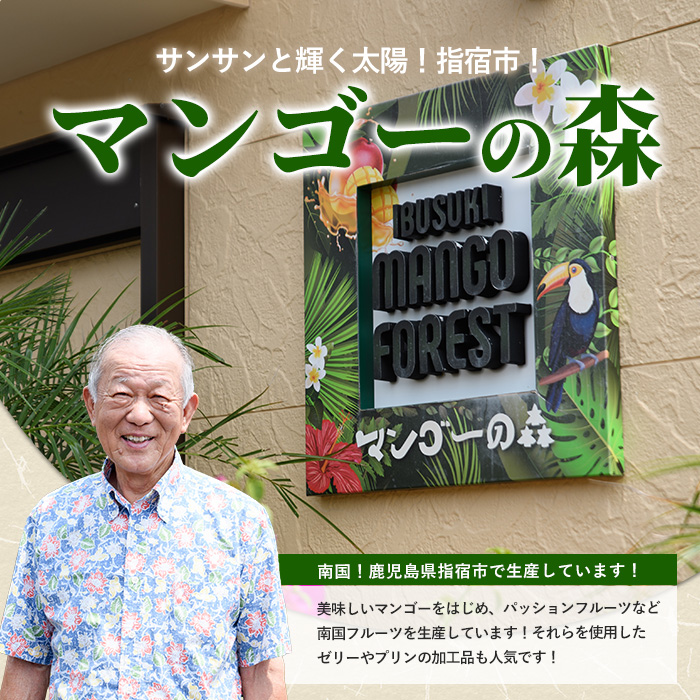 ゴロゴロ果肉入りプレミアムアイス6個セット(マンゴーの森/013-1212)