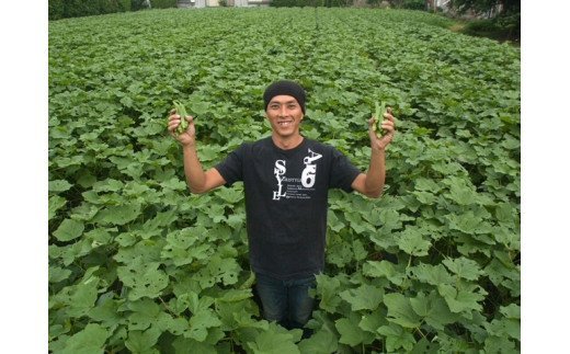 オクラそうめんとオクラうどんとオクラパウダーのセット(アグリスタイル/022-1201) 鹿児島県 指宿市 特産品 オクラパウダー パウダー 粉末 野菜パウダーうどん そうめん おくら オクラ 野菜 夏野菜 セット