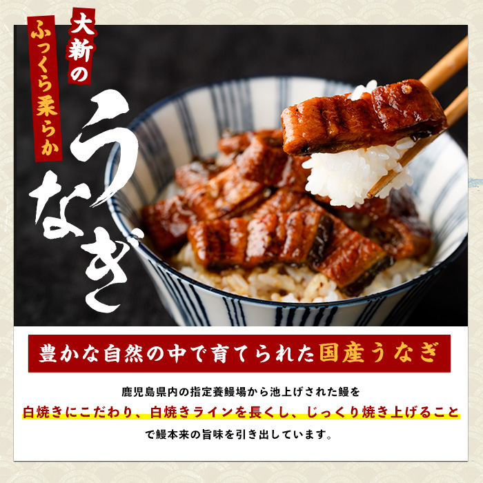 【鹿児島県産】うなぎ蒲焼じっくり焼き約125g×5尾 化粧箱入り(大新/026-1903) 鰻 ウナギ 蒲焼 国産 丑の日 うな重 無頭 ギフト プレゼント 贈り物 贈答 惣菜 総菜 小分け レンジ 簡単 蒲焼き 冷凍 鹿児島県産