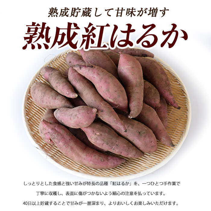 【2025年11月中旬～発送】指宿産 紅はるか 約7kg(アグリスタイル/A-301) 鹿児島 サツマイモ 薩摩芋 指宿市 焼芋 やきいも 焼きいも スイーツ おやつ デザート