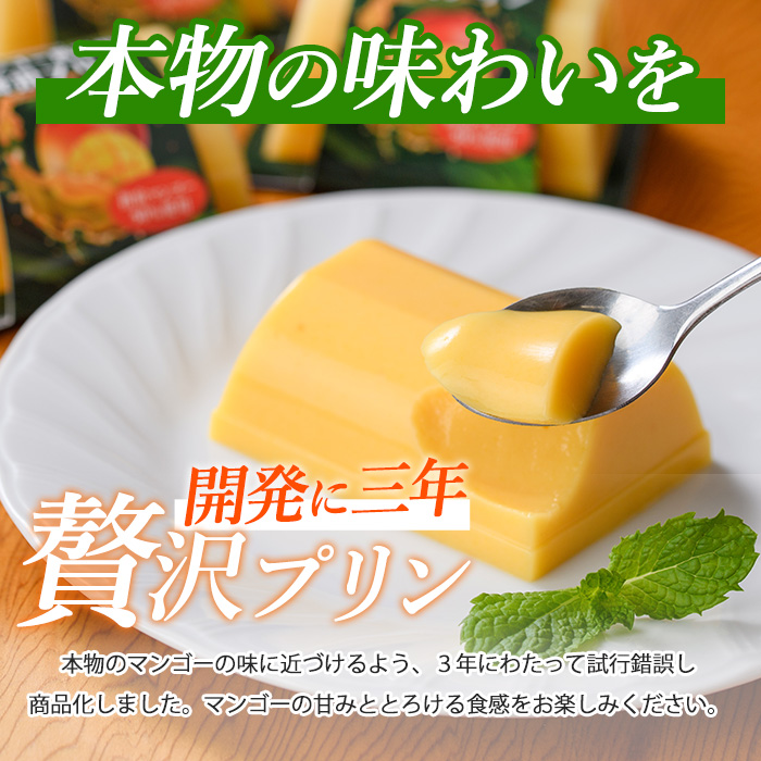 マンゴー農家の贅沢プリン(6個)とプレミアムゼリー(3個)セット(マンゴーの森/A-310)