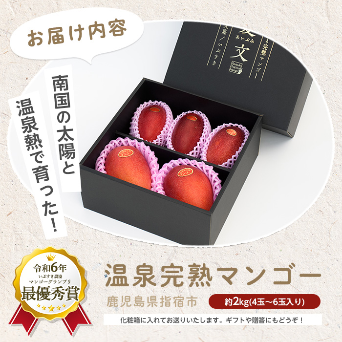 【2026年 発送 先行予約】南国いぶすきの温泉熱で育てた甘くて上品な温泉完熟マンゴー約2kg4～6個(T&P/IB057-002) マンゴー フルーツ 果物 旬 夏 指宿 いぶすき 鹿児島  完熟  お供え 御供 ギフト 贈り物 プレゼント グルメ 予約 先行予約 南国 南国フルーツ 果実 マンゴー 太陽 国産 鹿児島県産 果汁