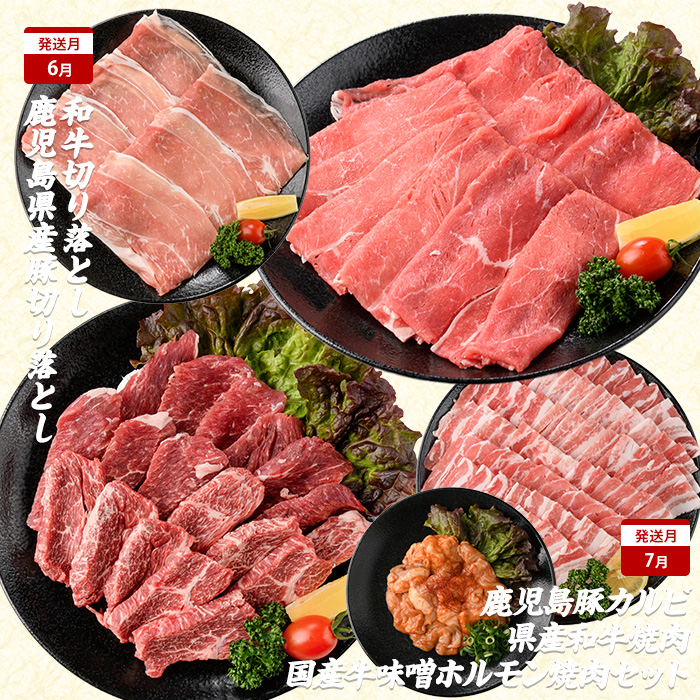 【2026年発送 先行予約】【全１０回定期便】鹿児島自慢の豚・牛・うなぎ 満足定期便(水迫畜産/Z100-528)