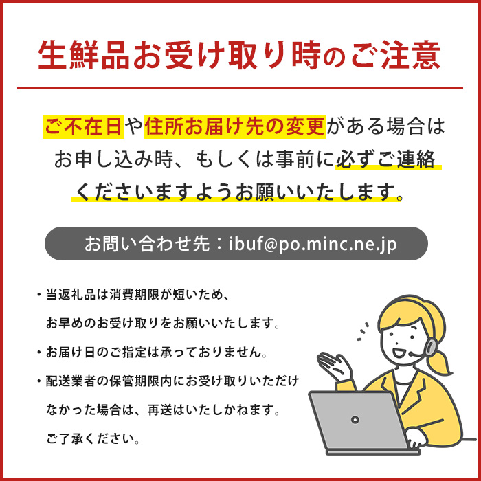 【2026年1月中旬～発送】指宿産サヤ付そらまめLサイズ約2kg(岡村商店/A-129) 鹿児島県 そらまめ ソラマメ そら豆 豆 旬 指宿市 春 野菜 サラダ おつまみ