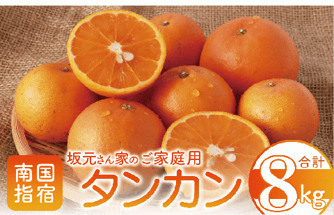 みかん農家坂元さんちのタンカンご家庭用8kg(坂元果樹園/A-056)