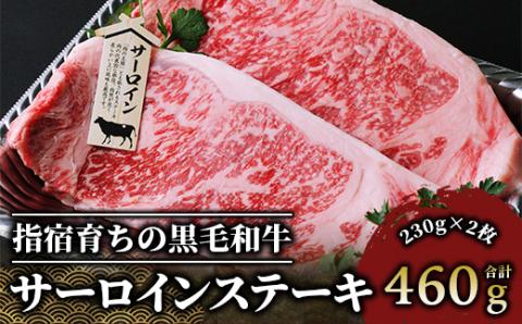 【指宿育ち】黒毛和牛 サーロインステーキ230g×2枚(Meat you/037-1183)