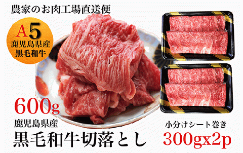 鹿児島県産黒毛和牛5等級切落し600g(水迫畜産/013-1291)
