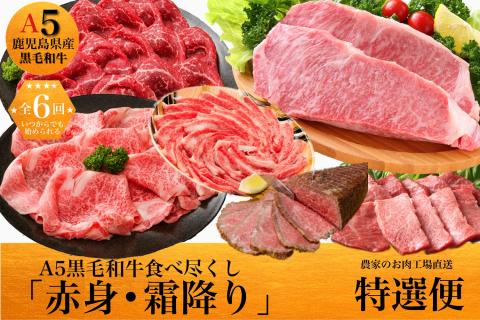【全６回定期便】鹿児島県産A5黒毛和牛霜降り・赤身食べ尽くし定期便 3kg ギフト黒箱入(水迫畜産/Z120-550)M21 肉 牛 牛肉 豚 黒豚 ローストビーフ 切り落とし すき焼き しゃぶしゃぶ